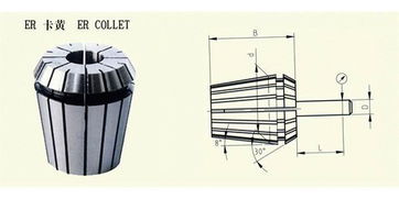 er弹簧夹头图片,er弹簧夹头高清图片 泗水鑫宇机床附件厂,
